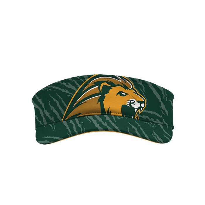 Visor